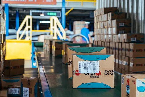 中通快递融入洽洽智能供应链最后一环，年发货约800万单